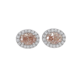 GENEVIEVE Oval Halo Stud Earrings | 1.61 cts | 14K White Gold